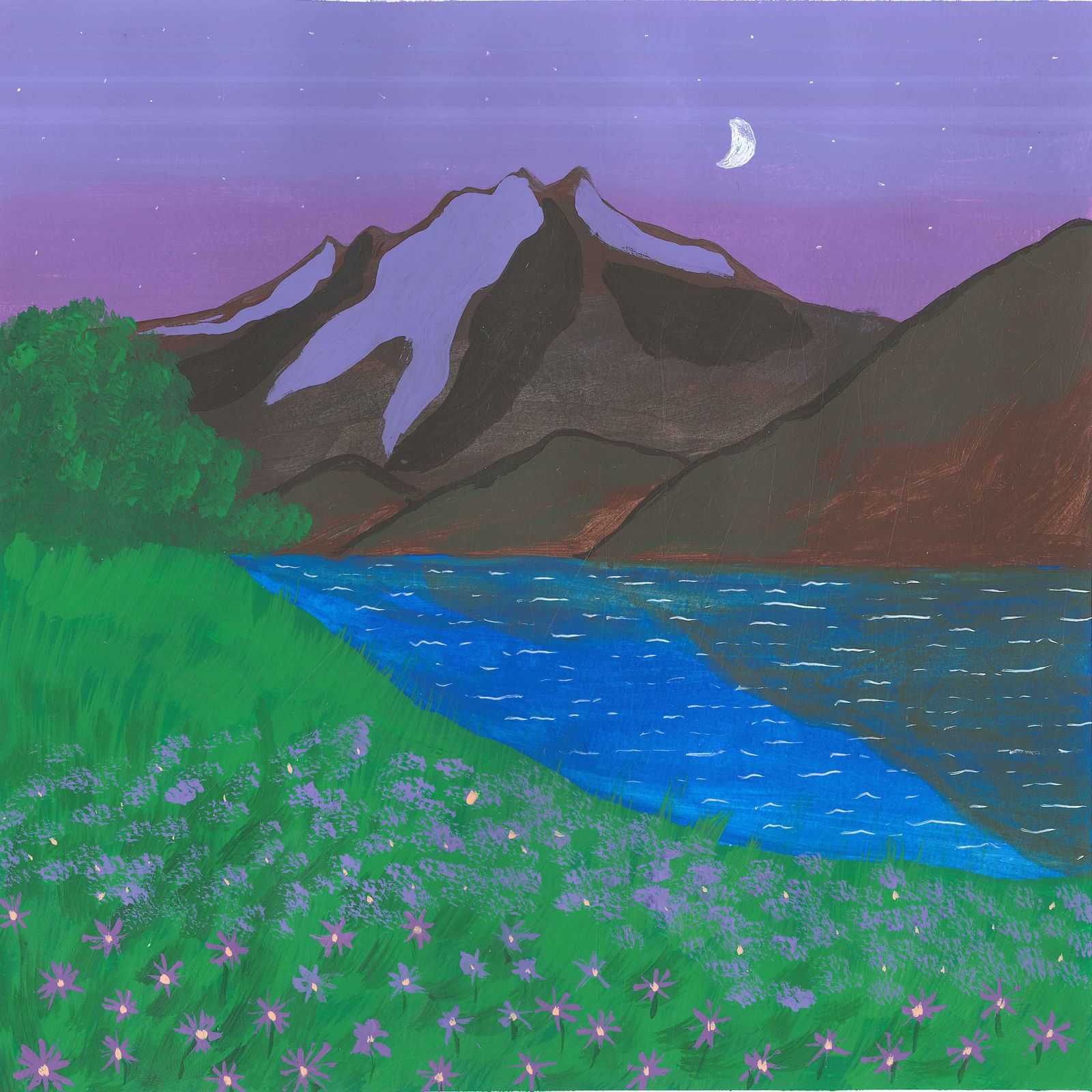 Night at the Wacoyo Indigenous Reserve - nature landscape painting - earth.fm