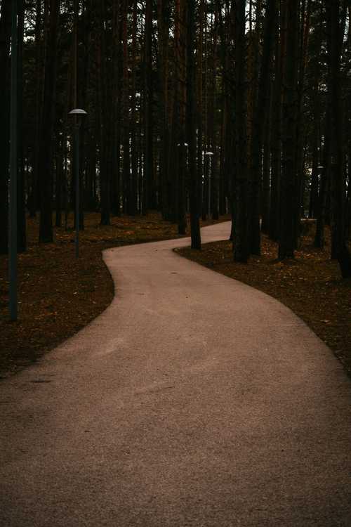 What is soundwalk? Definition and examples - glossary - earth.fm