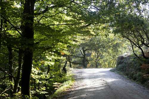 Conscious walking: Being present in the world around you - earth.fm