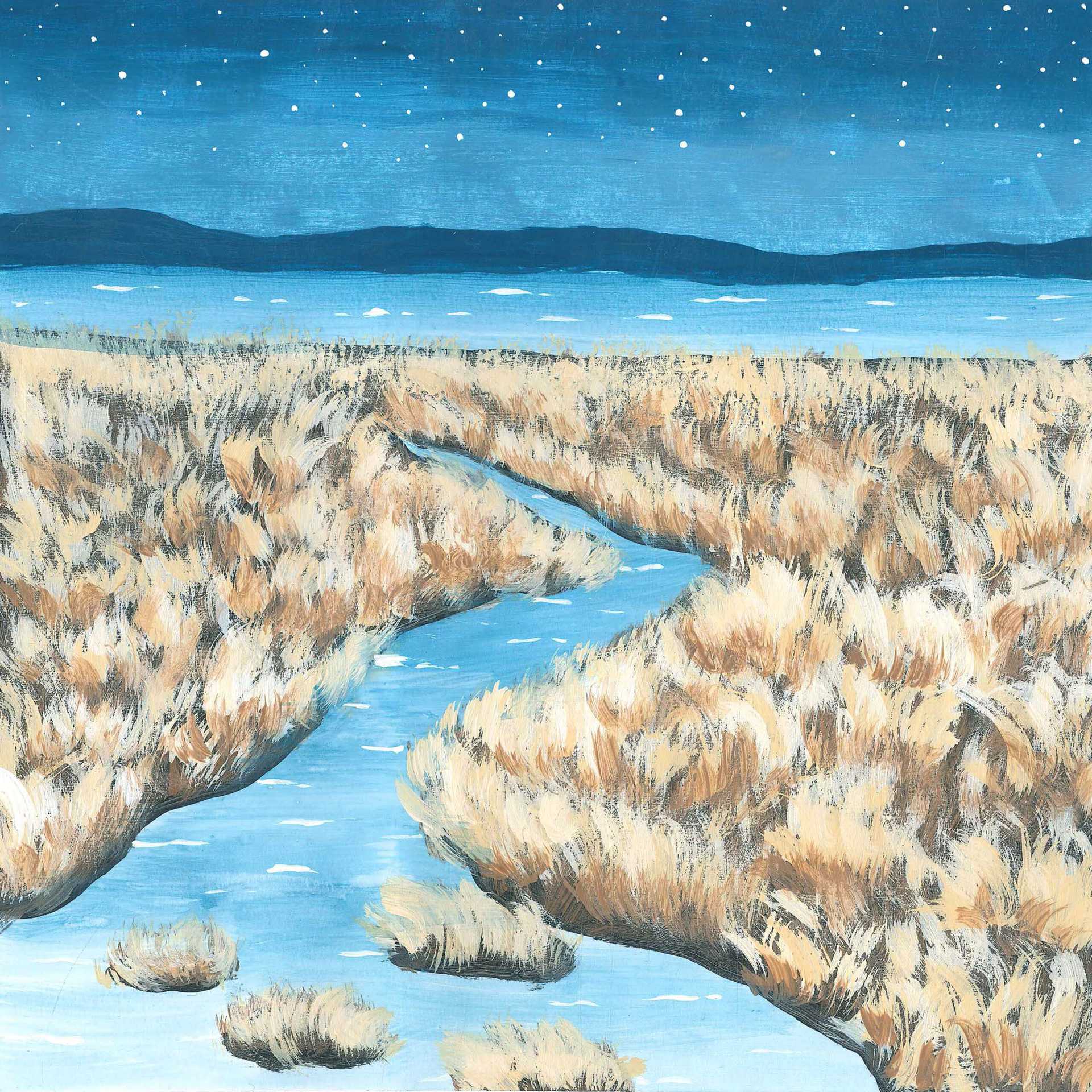 Whooper Swans at Midnight - nature landscape painting - earth.fm