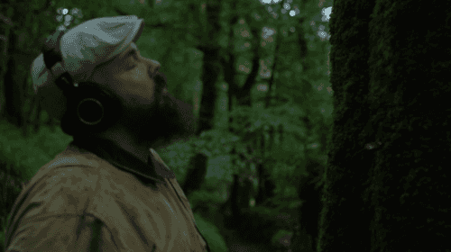 Multisensorial environmental empathy: Interview with Jamie House  - earth.fm