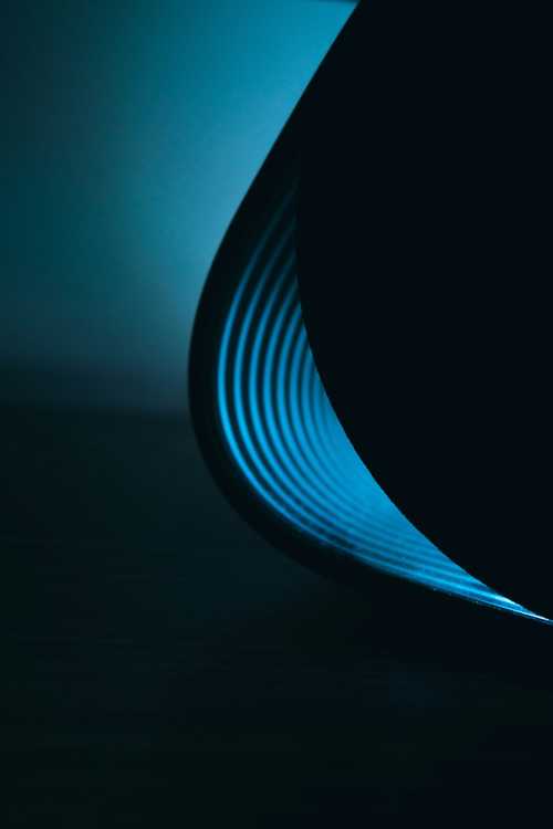 What is acoustic diversity? Definitions and examples - glossary - earth.fm