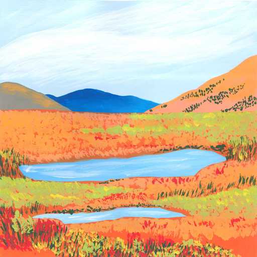Life in abundance in a tropical billabong - nature soundscape - earth.fm