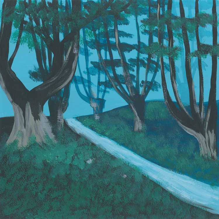 Rainforest sounds playlist