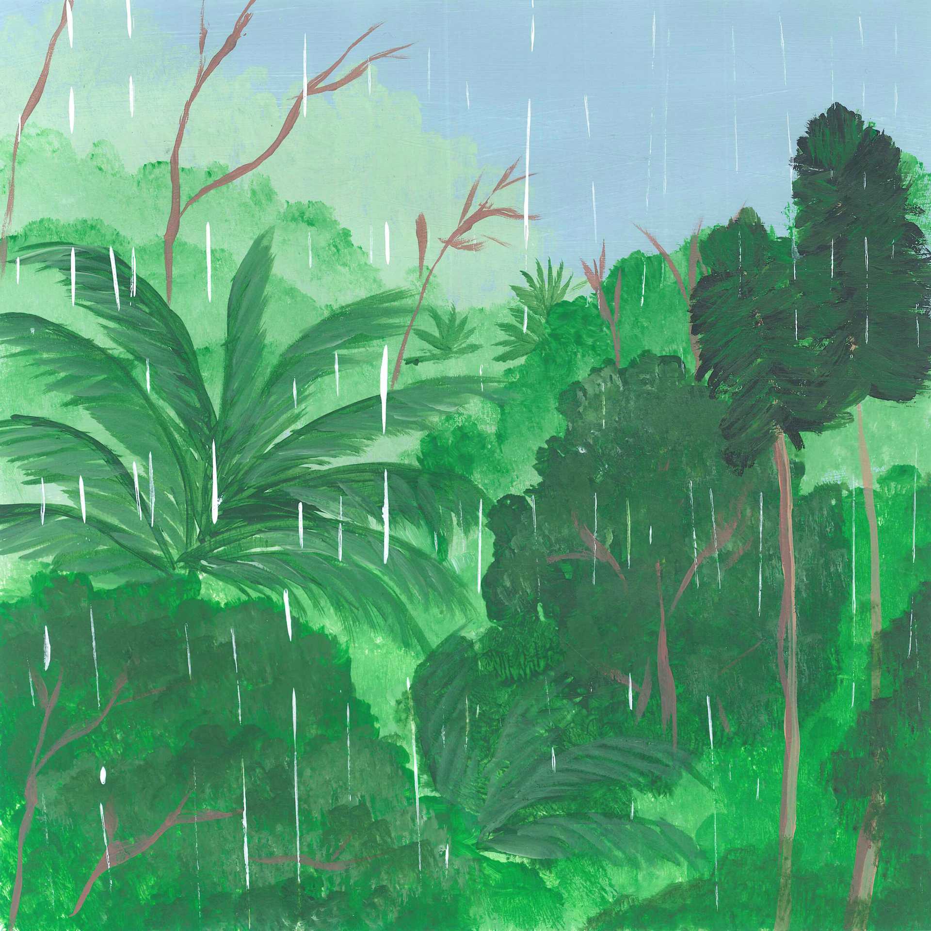 Cold Rain in Madagascar’s Cloud Forest - nature landscape painting - earth.fm