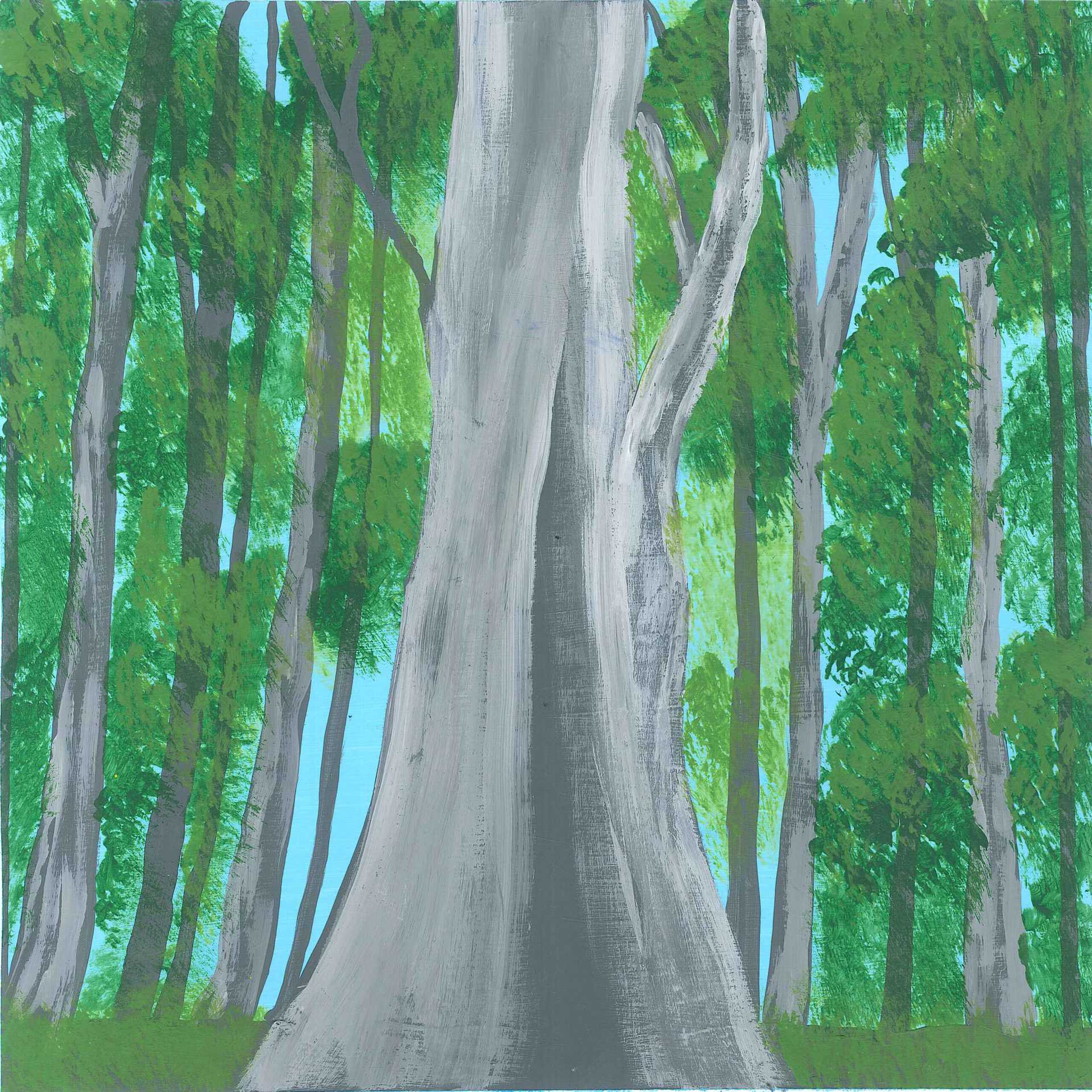 Australia – Tall Eucalypt Forest - nature landscape painting - earth.fm