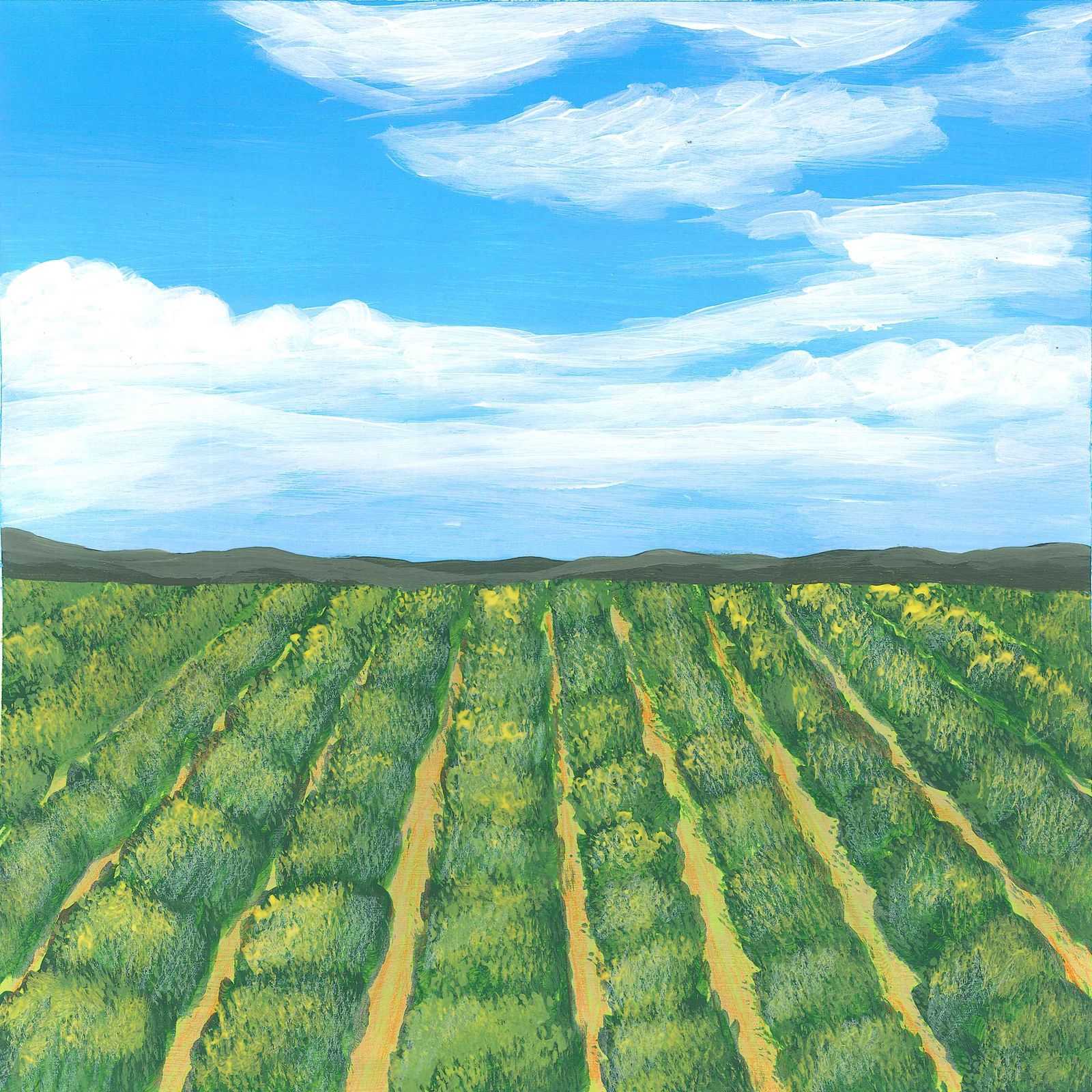 Olive Field In The Wind - nature landscape painting - earth.fm