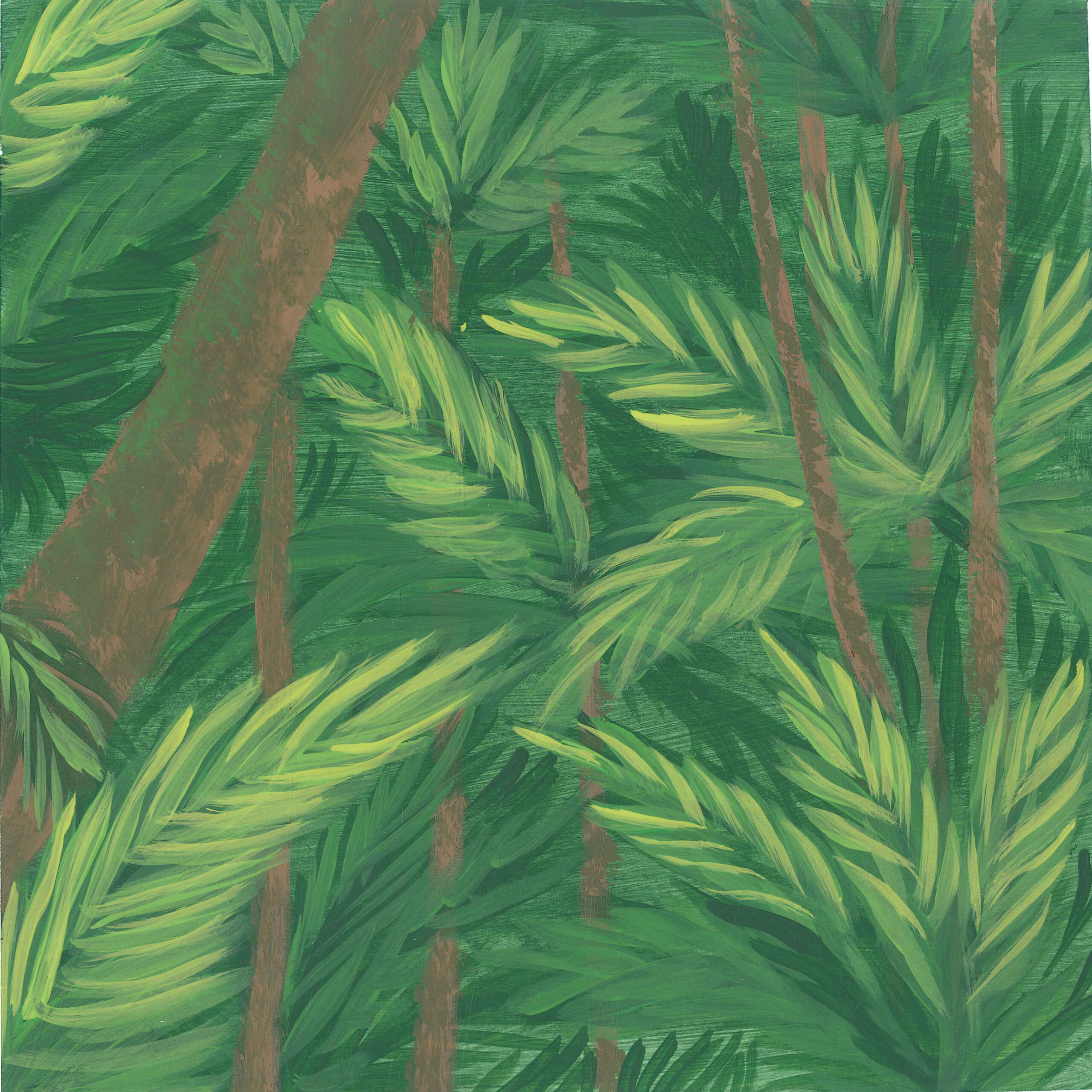 Under Canopy Mountain Forest earth.fm