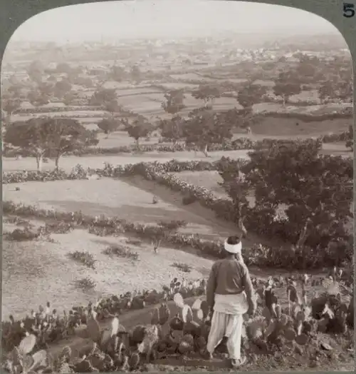 What are the environmental impacts of Israel’s occupation of the Palestinian Territories and the war in Gaza? - earth.fm