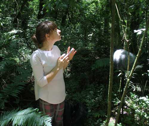 Learning to listen for nature field recording - earth.fm
