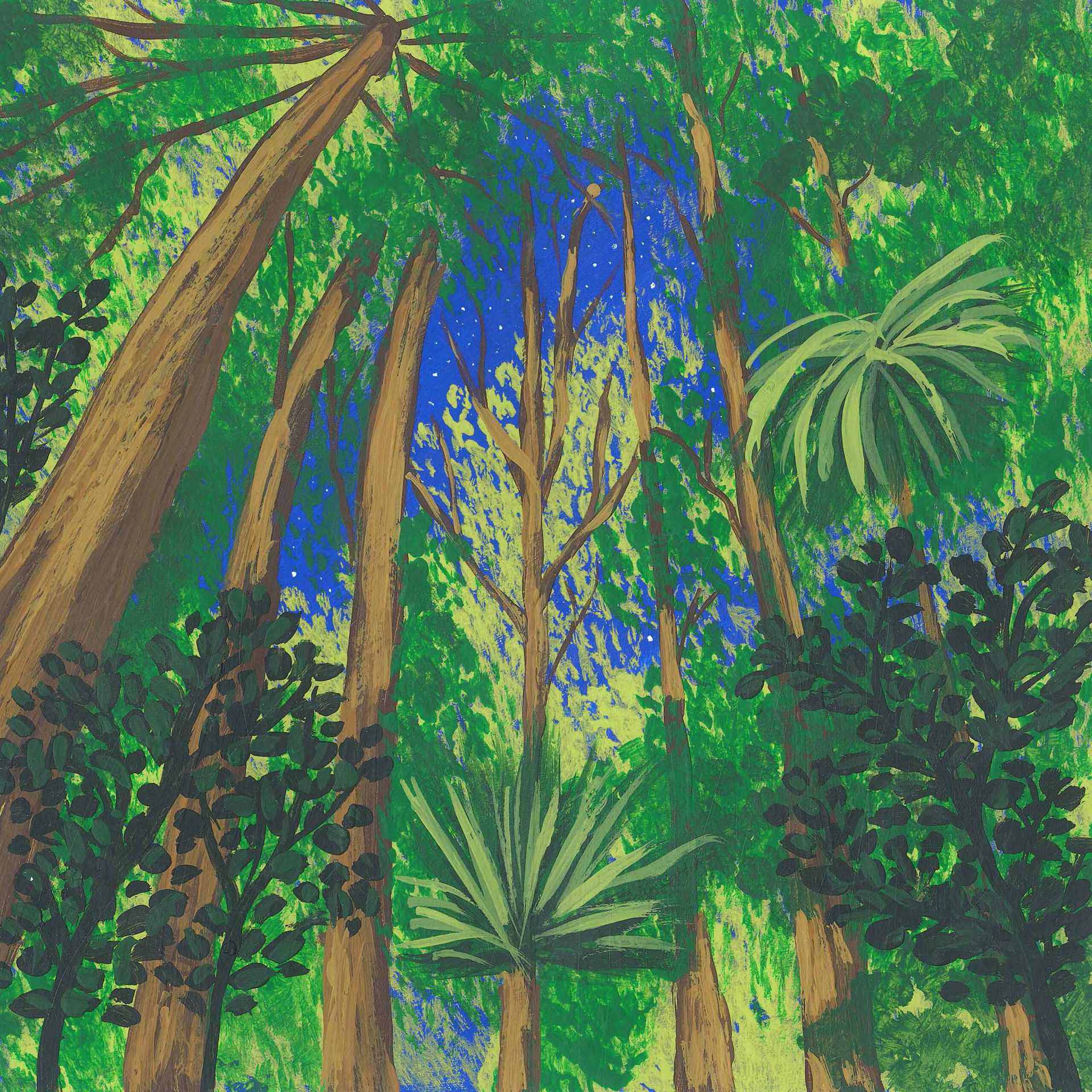 Nocturnal Chorus at Mpanga Central Forest Reserve - nature landscape painting - earth.fm