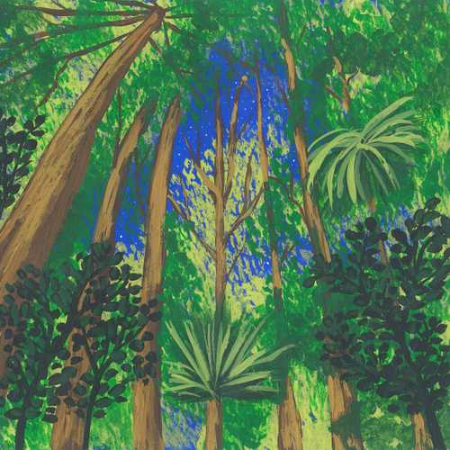 Ankasa Rainforest Dawn Chorus - wind is the original radio podcast - earth.fm