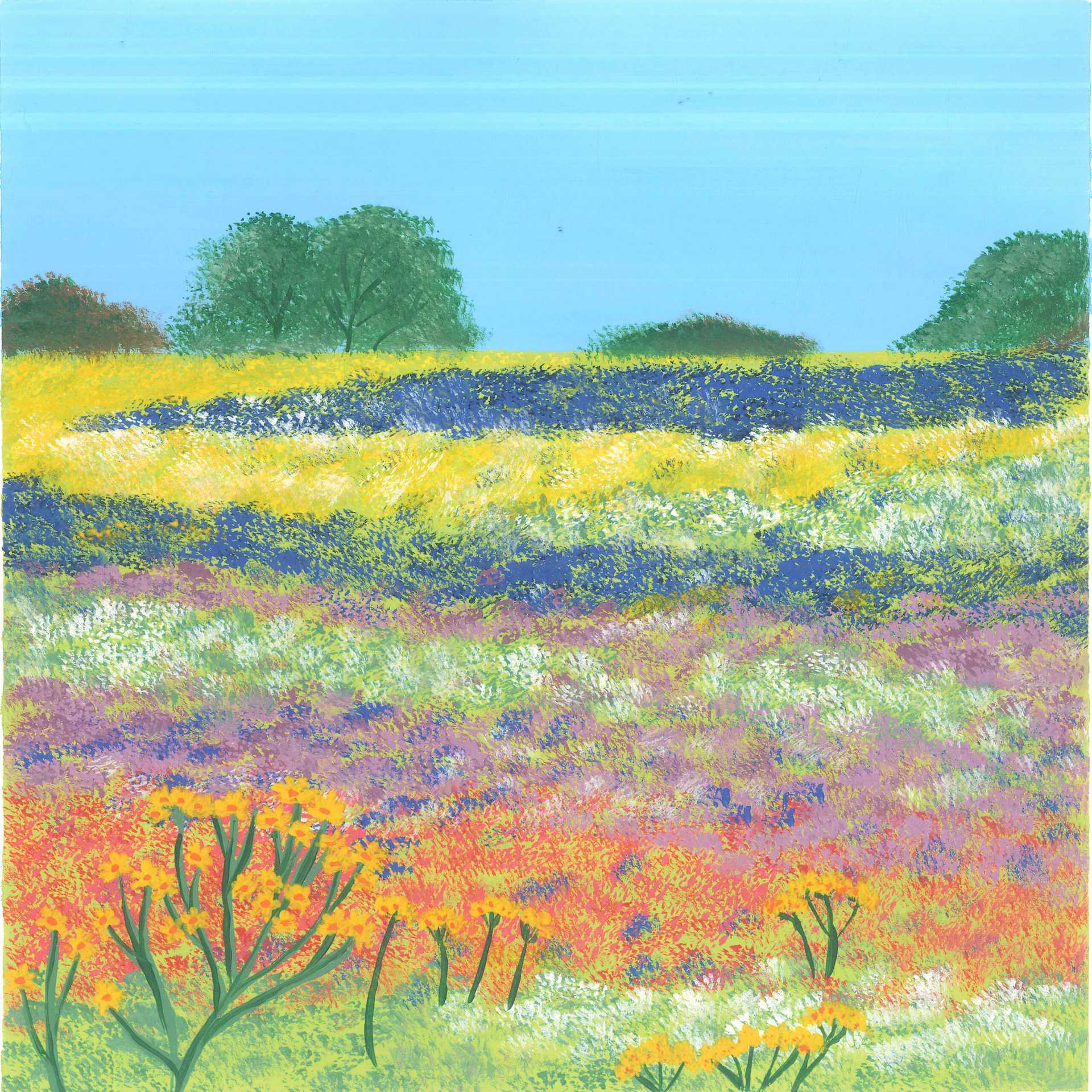 Calm afternoon on the meadow - earth.fm