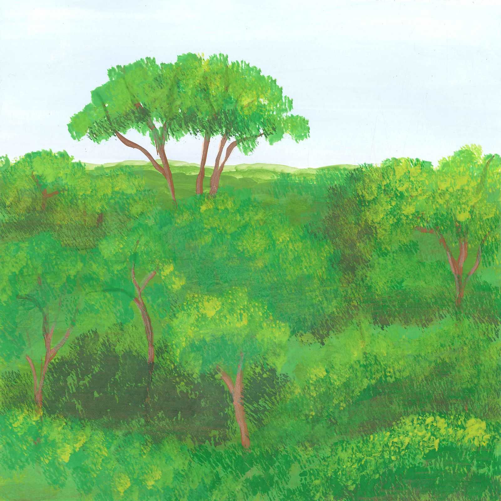 A morning through the rainforest - nature landscape painting - earth.fm