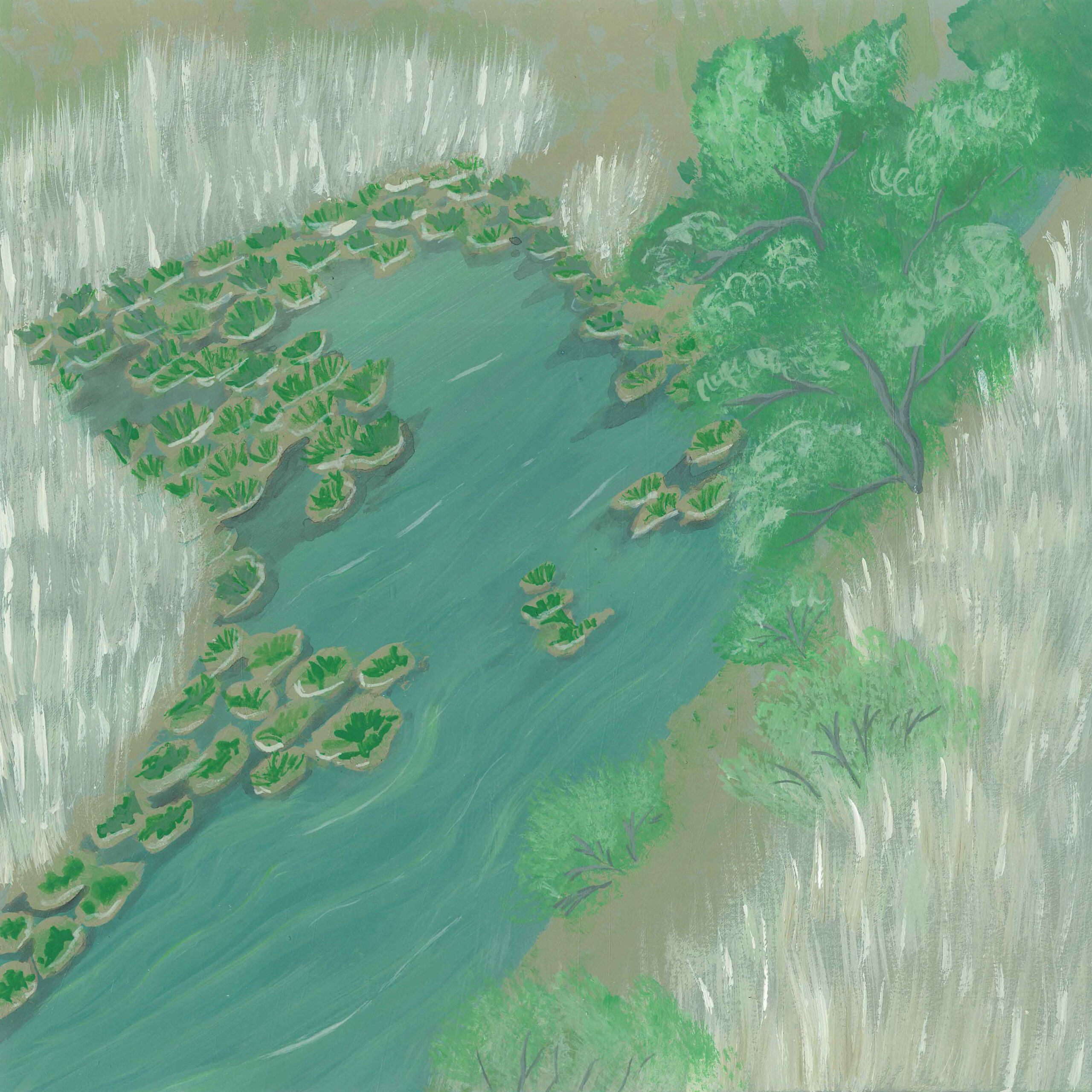 Nightingale nocturnal song - earth.fm