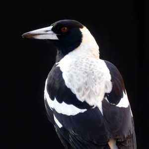 Khristos Nizamis - earth.fm