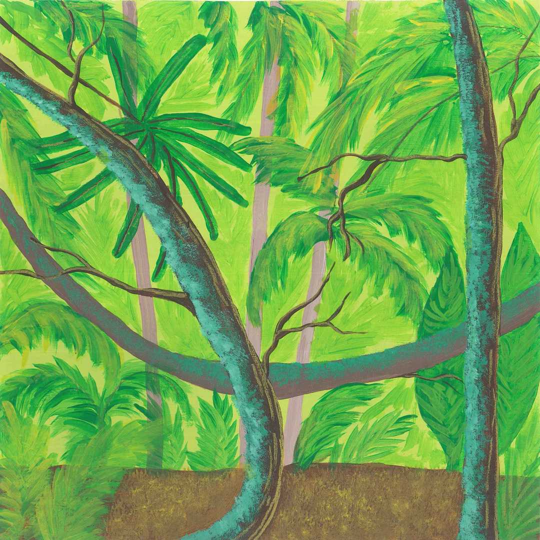 Waigeo Rainforest earth.fm