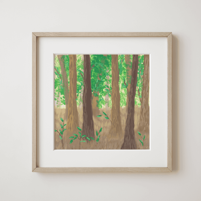 Rainforest Dawn - Whispers of the Forest Giants Fine Art Print - earth.fm
