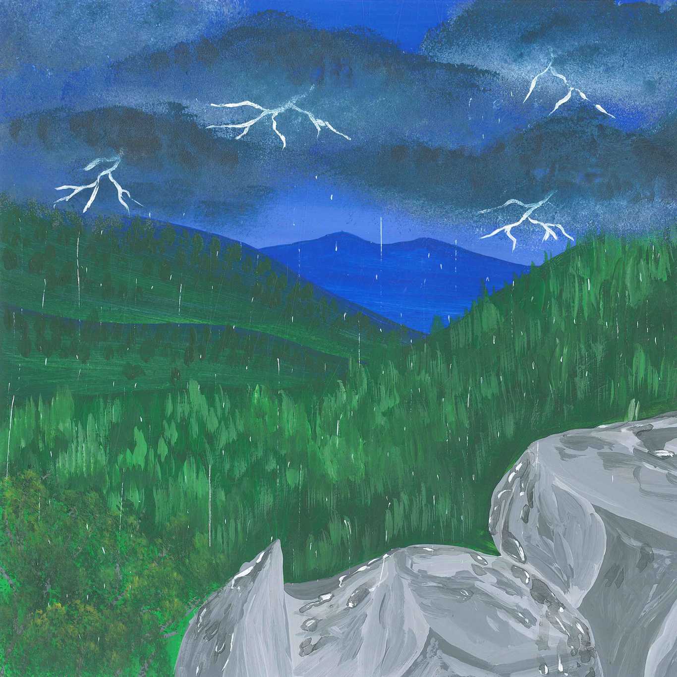 A Spring Thunderstorm in a Beech Forest - earth.fm