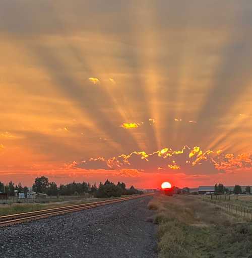 The Beauty of Walking the Same Path - earth.fm