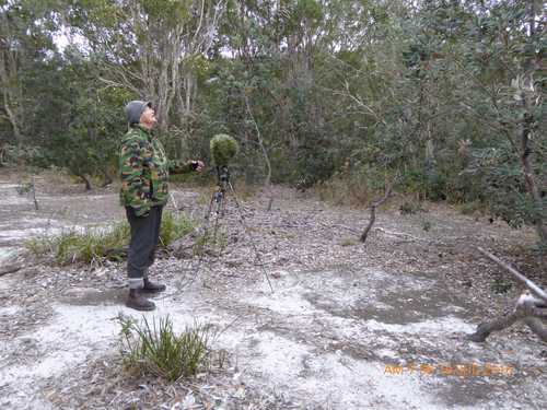 Birdsong dialects and recording the Australian outback - earth.fm