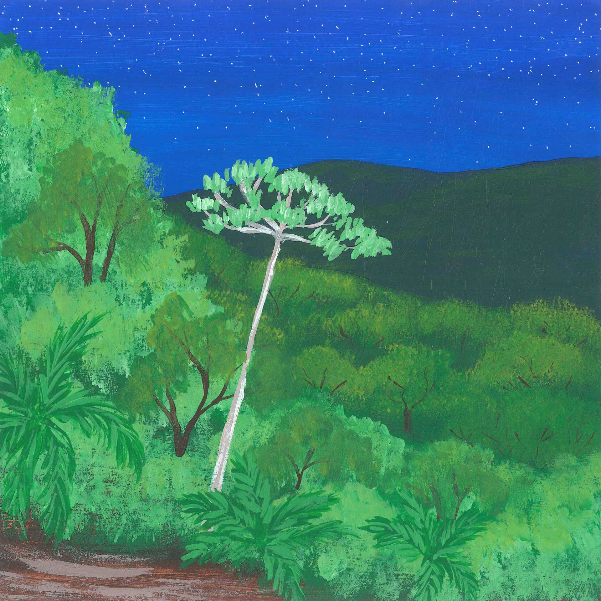 Relaxing Evening in the Amazonian Rainforest - nature landscape painting - earth.fm