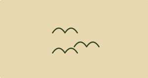 Birds FM - earth.fm