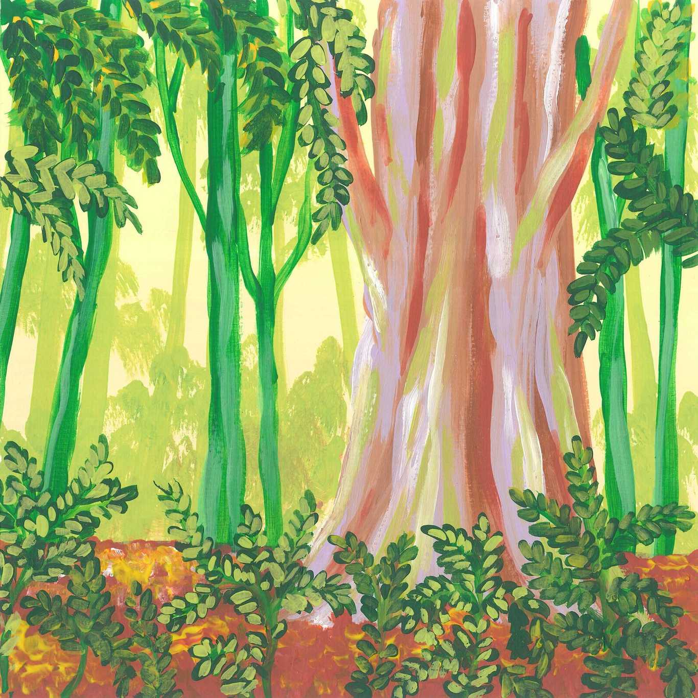 Rainforest sounds playlist