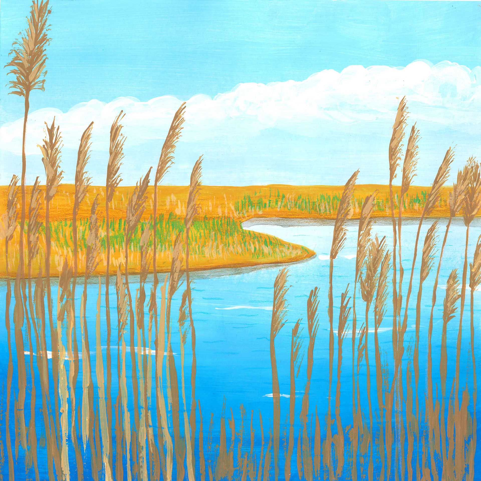Seagulls and Swamp Reeds - nature soundscape - earth.fm