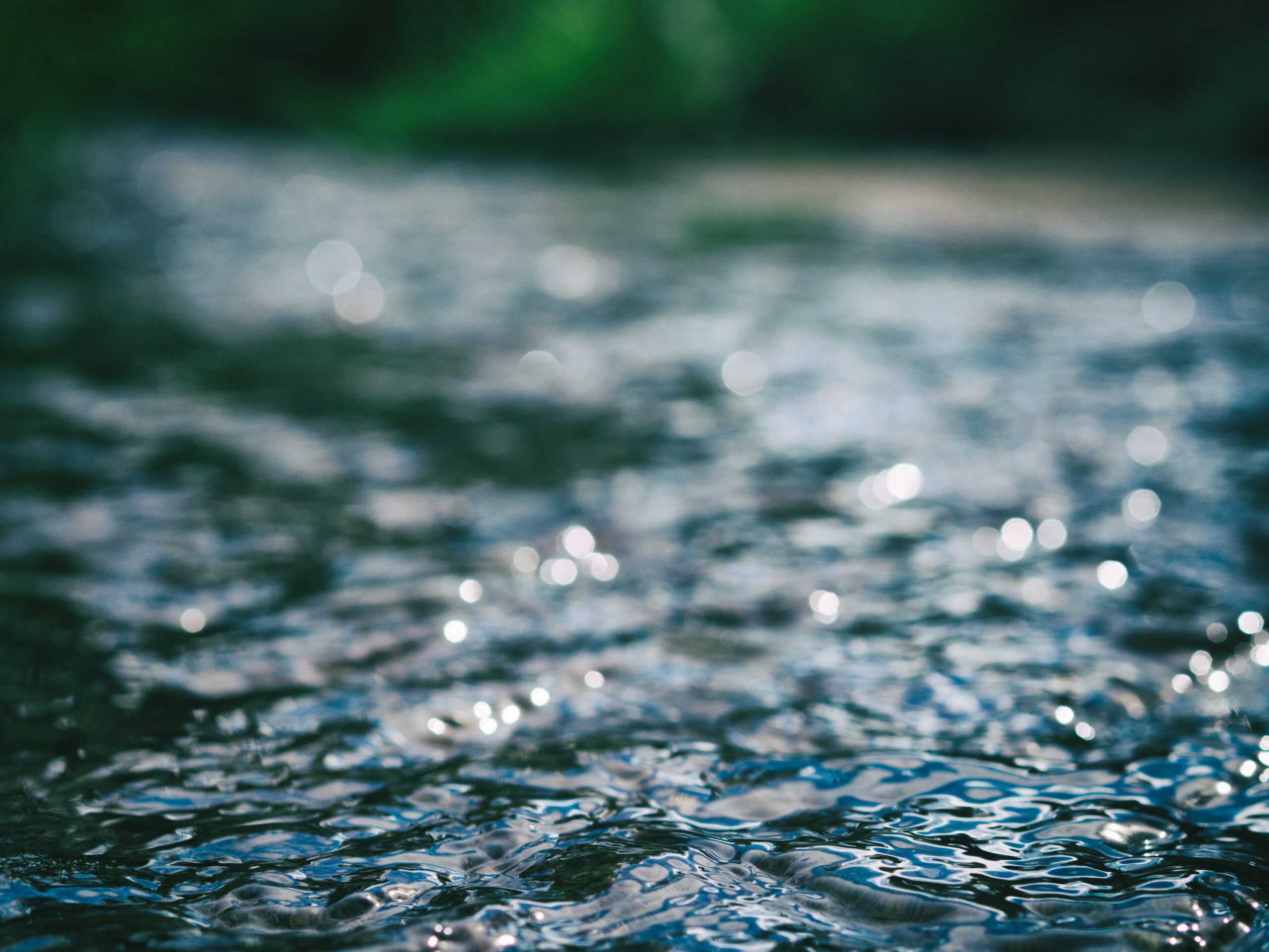 What is ecofluency? Definition and examples - earth.fm