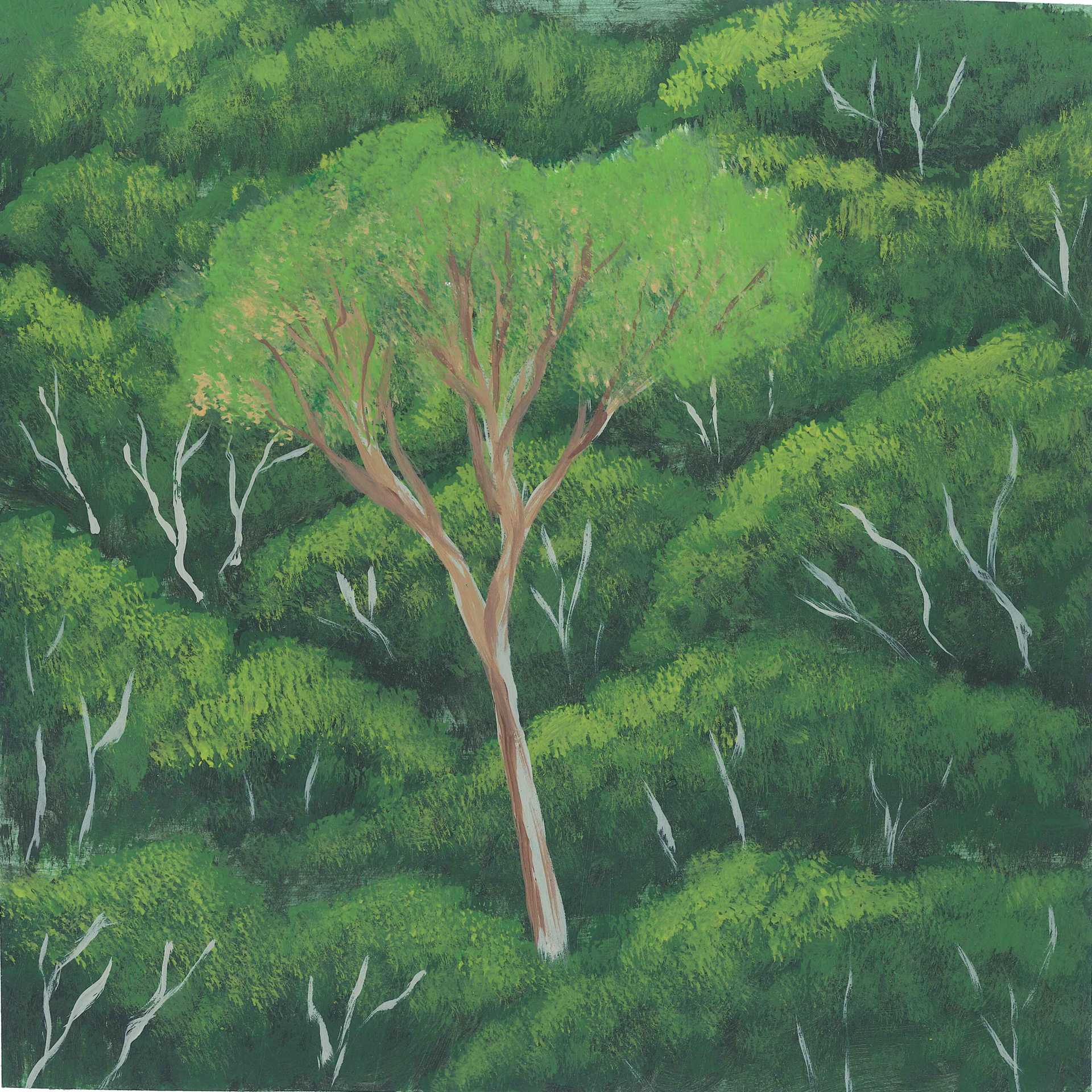 Sabalillo Reserve at Night - nature landscape painting - earth.fm