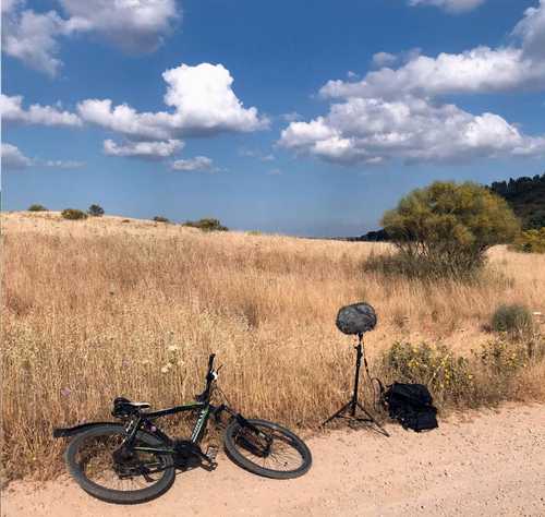 Three years in the countryside: Notes from a field recordist - earth.fm