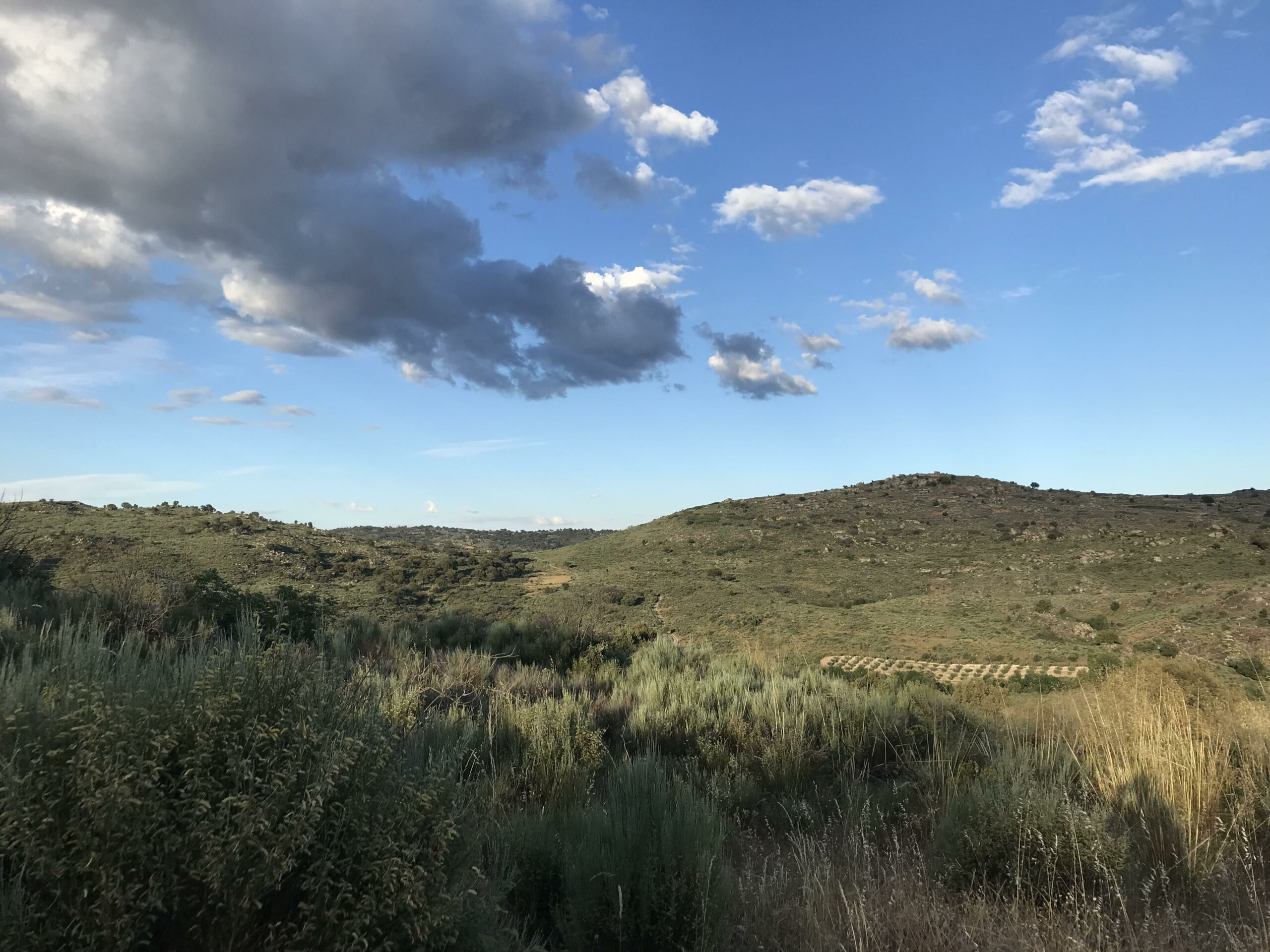 Photography showing the location of this recording. It's a mix od sierra and montado, dry in the summer season, in yellow and greenish tones against a pale blue sky with some white and grey clouds.