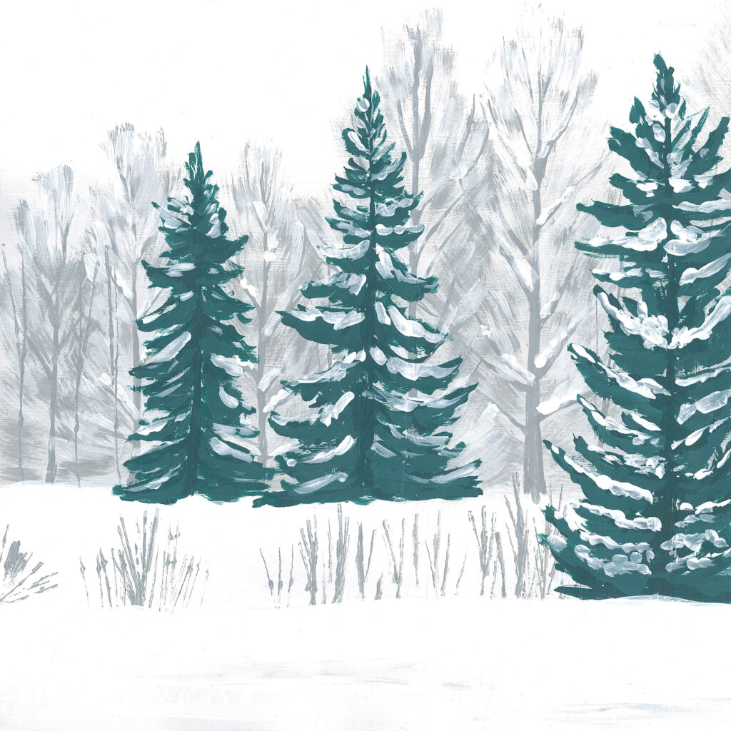 Forest with tall pines with a lot of snow on the ground and covering the trees. There are three pines in the foreground, they are dark green, and the trees in the background are covered in snow, with a grey shade.